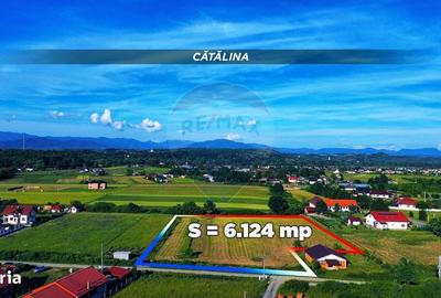 Spațiu comercial, în Cătălina - 1