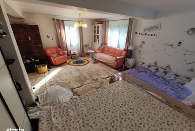 Casă cu 4 camere în Balta Neagră - 2