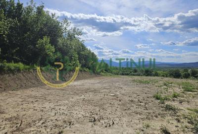 Teren agricol extravilan de 3000 mp, în Exterior Vest - 1