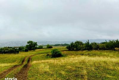Teren de 604 mp, în Central