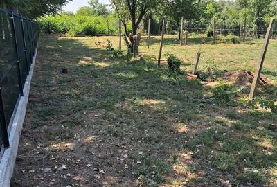 Casă cu Teren 1500 Mp în Orbeasca