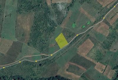 Teren de 5700 mp, în Jibert - 2