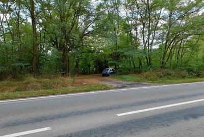Teren Construcții intravilan de 5561 mp, în Calea Caransebeșului - 3