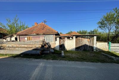 Teren de 6785 mp, în Mușetești - 3