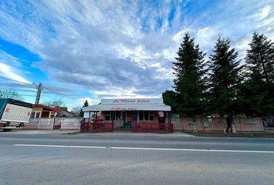Spațiu comercial, de 80 mp, în Ștefăneștii de Jos