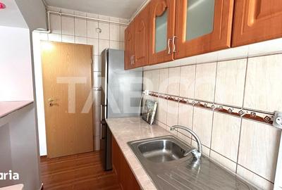 Apartament cu 4 camere semidecomandat, mobilat în Tilișca - 10