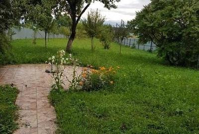 Casă cu 3 camere cu Teren 1930 Mp în Voila - 7