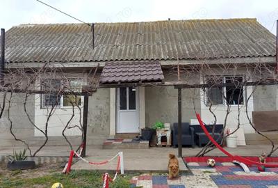 Casă cu Teren 700 Mp în Lumina - 4