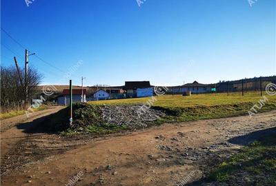 Teren Construcții intravilan de 500 mp, în Hamba - 3
