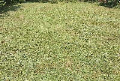 Casă cu Teren 1300 Mp în Central