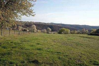 Teren de 9440 mp, în Huta