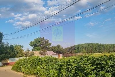 Teren de 2150 mp, în Bulbucata