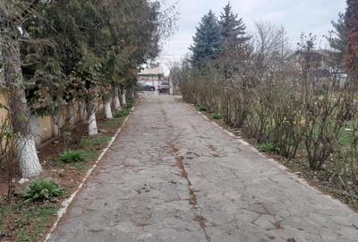 Casă cu 8 camere cu Teren 1450 Mp în Joița - 1
