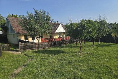 Casă cu 2 camere cu Teren 2271 Mp în Ulieș - 9
