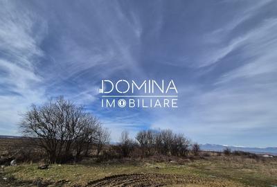 Teren Construcții intravilan de 5000 mp, în Dănești - 5