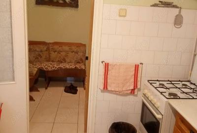 Apartament cu 2 camere semidecomandat în Gojdu - 2