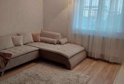 Apartament cu 2 camere decomandat în Olteni - 6