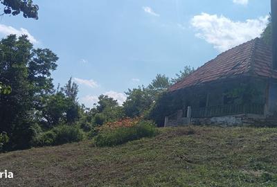 Casă cu 4 camere în Brădișor