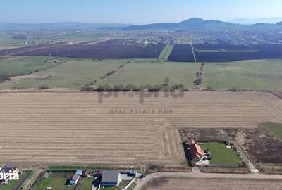 Teren de 6400 mp, în Stupini - 2