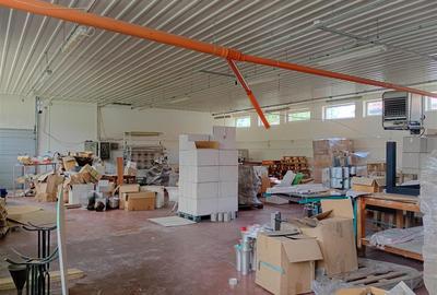 Spațiu industrial, de 900 mp, în Tileagd - 15