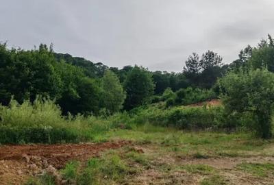 Teren în Băița - 4
