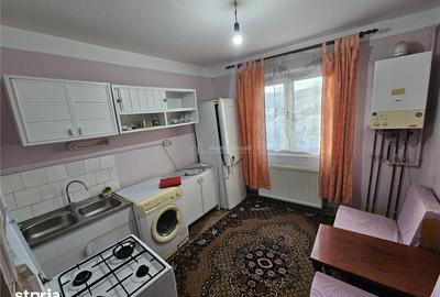 Garsonieră decomandată în Calea Caransebeșului