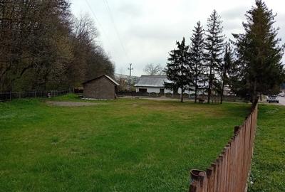 Teren Construcții intravilan de 1670 mp, în Gârcina - 5