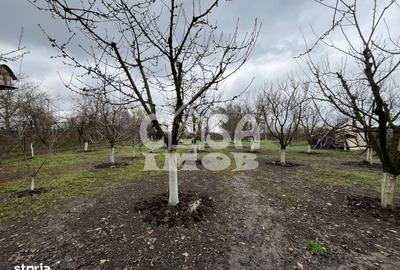 Casă cu 1 camere cu Teren 5000 Mp în Mogoșani - 15