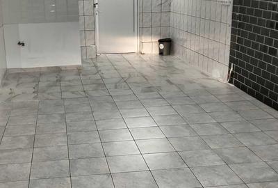 Spațiu comercial, de 28 mp, în Nicolina - 3