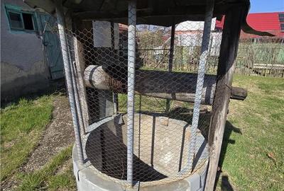 Casă cu 3 camere cu Teren 3309 Mp în Husasău de Tinca - 3