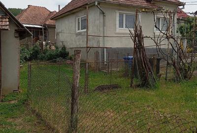 Casă cu 2 camere cu Teren 1843 Mp în Urișor - 9