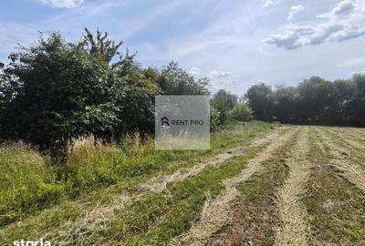 Teren de 11000 mp, în Clejani - 12
