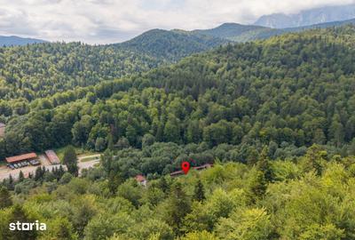 Teren de 2180 mp, în Valea Râșnoavei