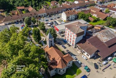 Hotel/Pensiune, de 750 mp, în Săvârșin - 1