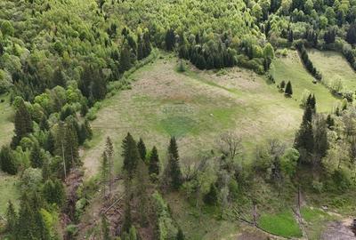 Teren agricol extravilan de 48297 mp, în Sătic - 5