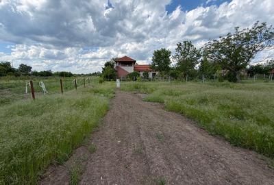 Teren Construcții intravilan de 1100 mp, în Ghermănești - 13
