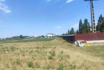 Teren în Schineni (Săucești) - 2