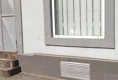 Spațiu comercial, de 75 mp, în Traian - 9