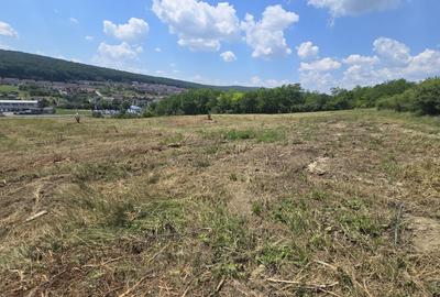 Teren Construcții intravilan de 16476 mp, în Corunca - 14