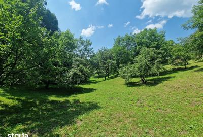 Teren de 3910 mp, în Secăriei - 3