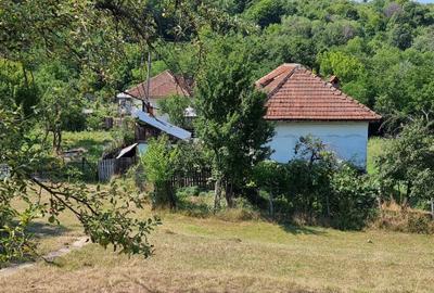 Casă individuală cu 2 camere cu Teren 3800 Mp în Berislăvești - 3