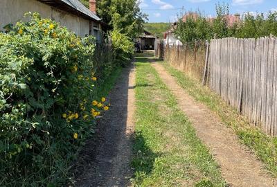 Casă cu 5 camere cu Teren 6000 Mp în Lunca - 2