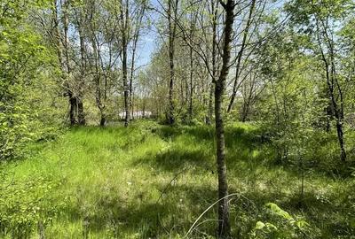 Teren de 5000 mp, în Valea Părului - 7
