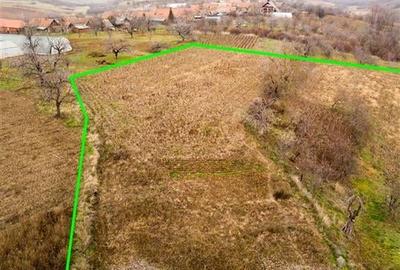 Casă individuală cu 4 camere cu Teren 9168 Mp în Șișterea - 16
