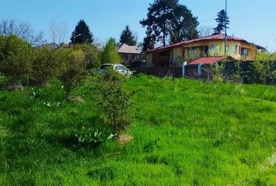 Spațiu comercial, în Săftica - 17