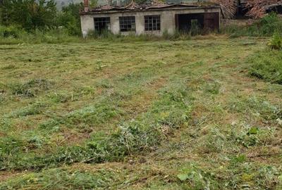 Teren în Saschiz