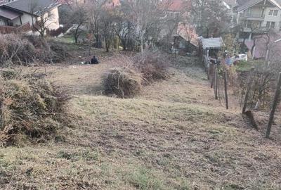 Teren de 444 mp, în Baciu - 3
