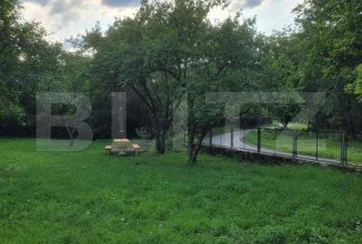 Casă cu 5 camere cu Teren 48000 Mp în Vărădia de Mureș - 5
