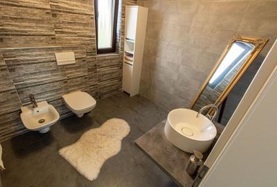Duplex cu 3 camere cu Canalizare în Moșnița Nouă - 10