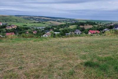 Teren de 1022 mp, în Dorobanț - 7